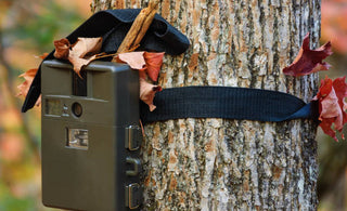 Où placer une caméra de chasse pour obtenir des images parfaites?