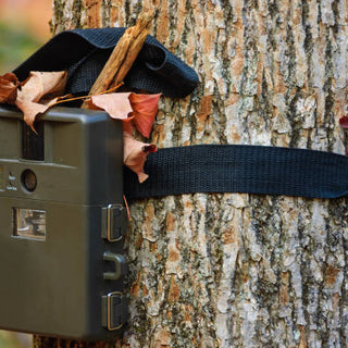 Où placer une caméra de chasse pour obtenir des images parfaites?