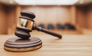 Caméra de chasse : est-ce légal en France ? (ce que vous devez savoir)