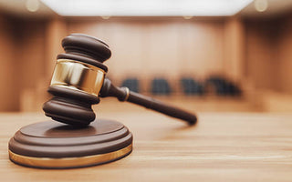 Caméra de chasse : est-ce légal en France ? (ce que vous devez savoir)