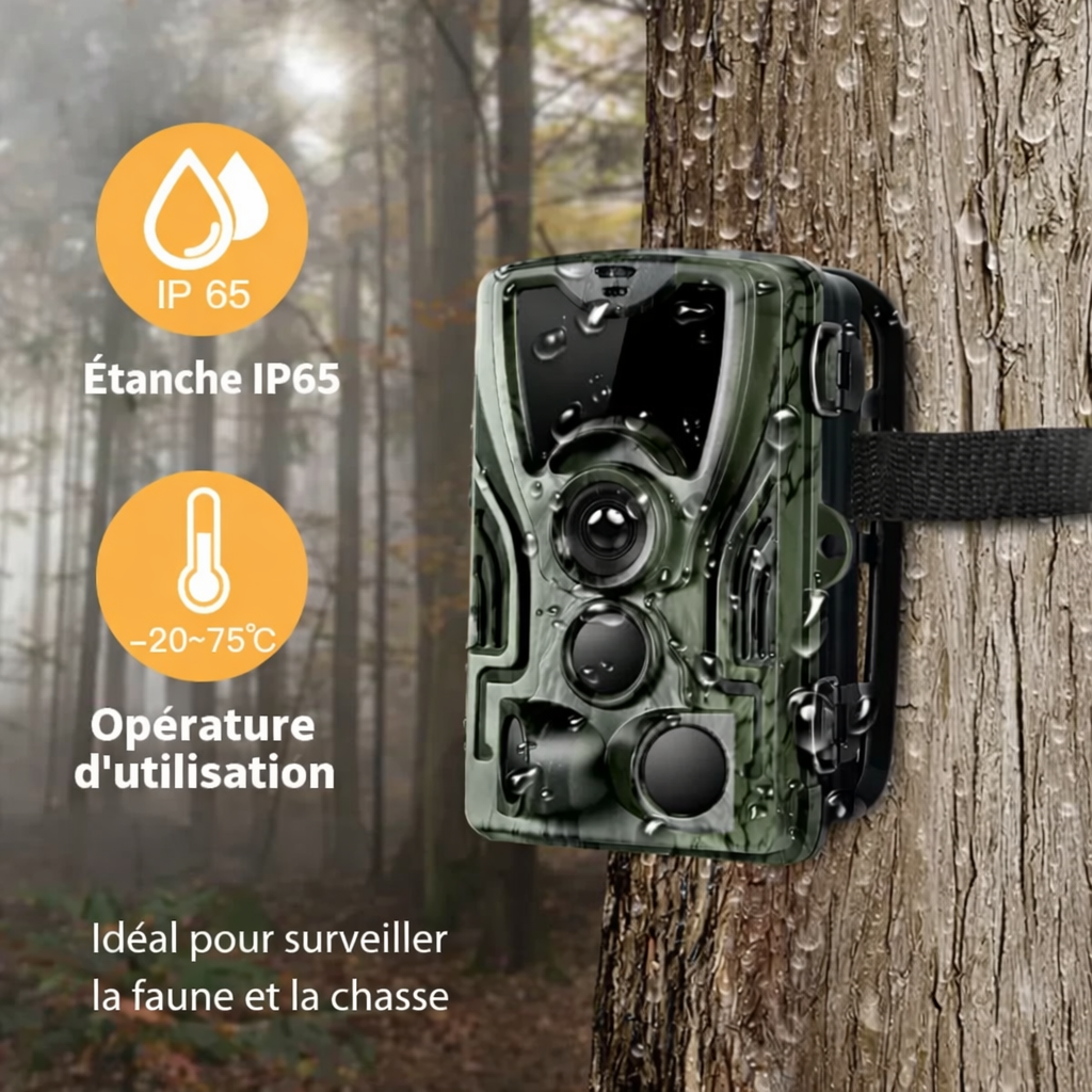 Camera de Chasse 4K Batterie Rechargeable