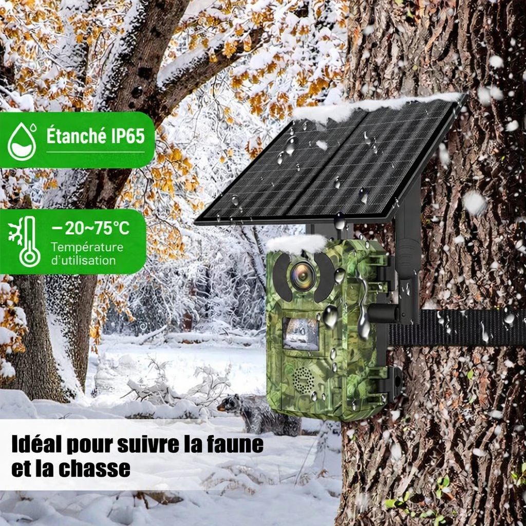 Caméra de Chasse 4G Solaire 32G