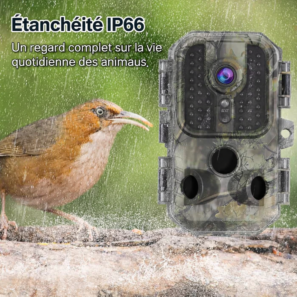Caméra de Chasse 4K Infrarouge