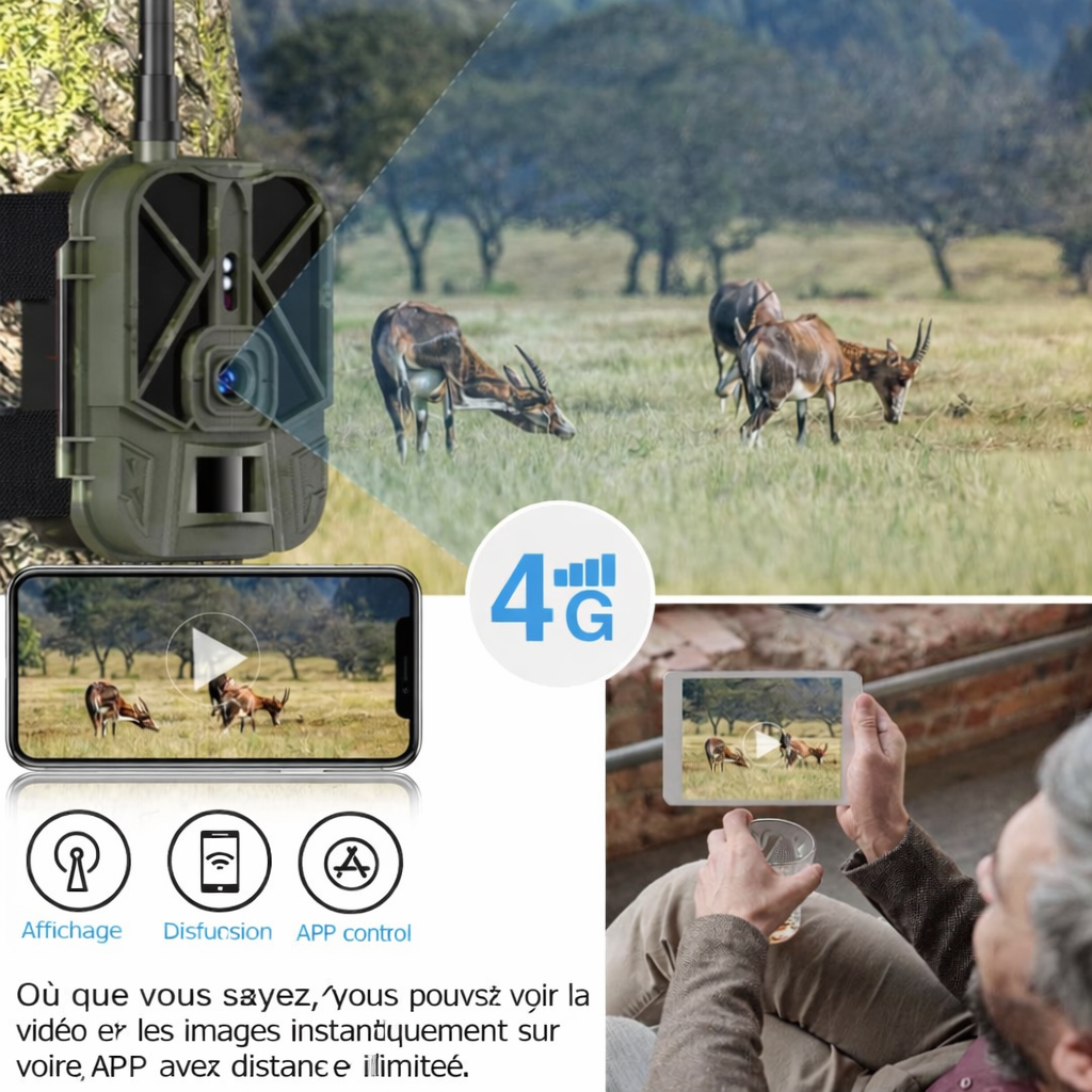 Caméra de Chasse 4G HD