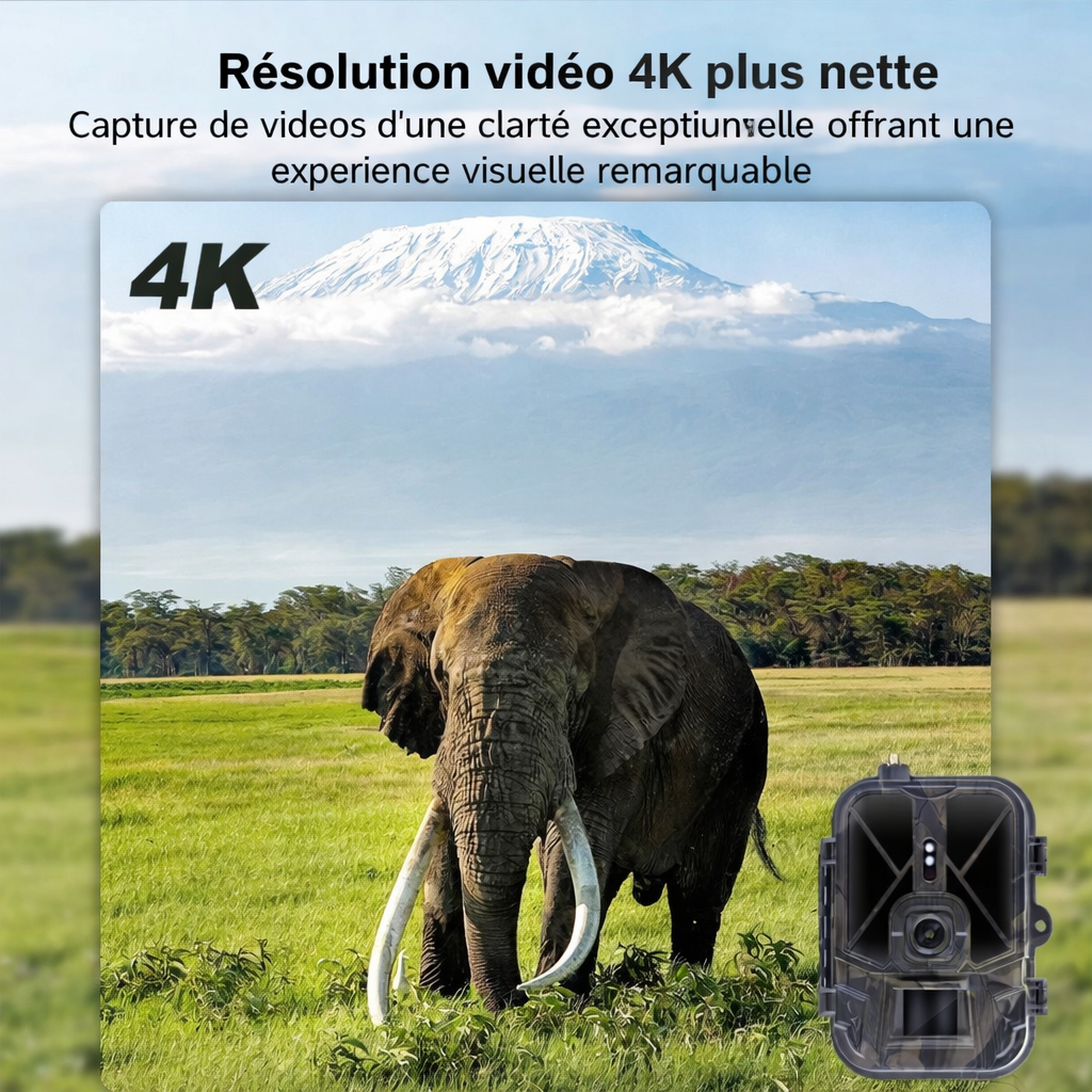 Caméra de Chasse 4G HD