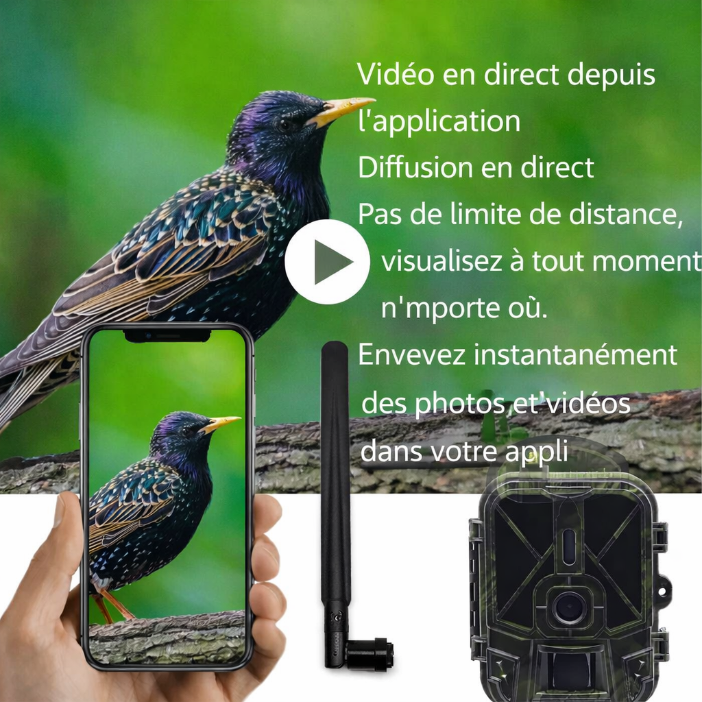 Caméra de Chasse 4G HD