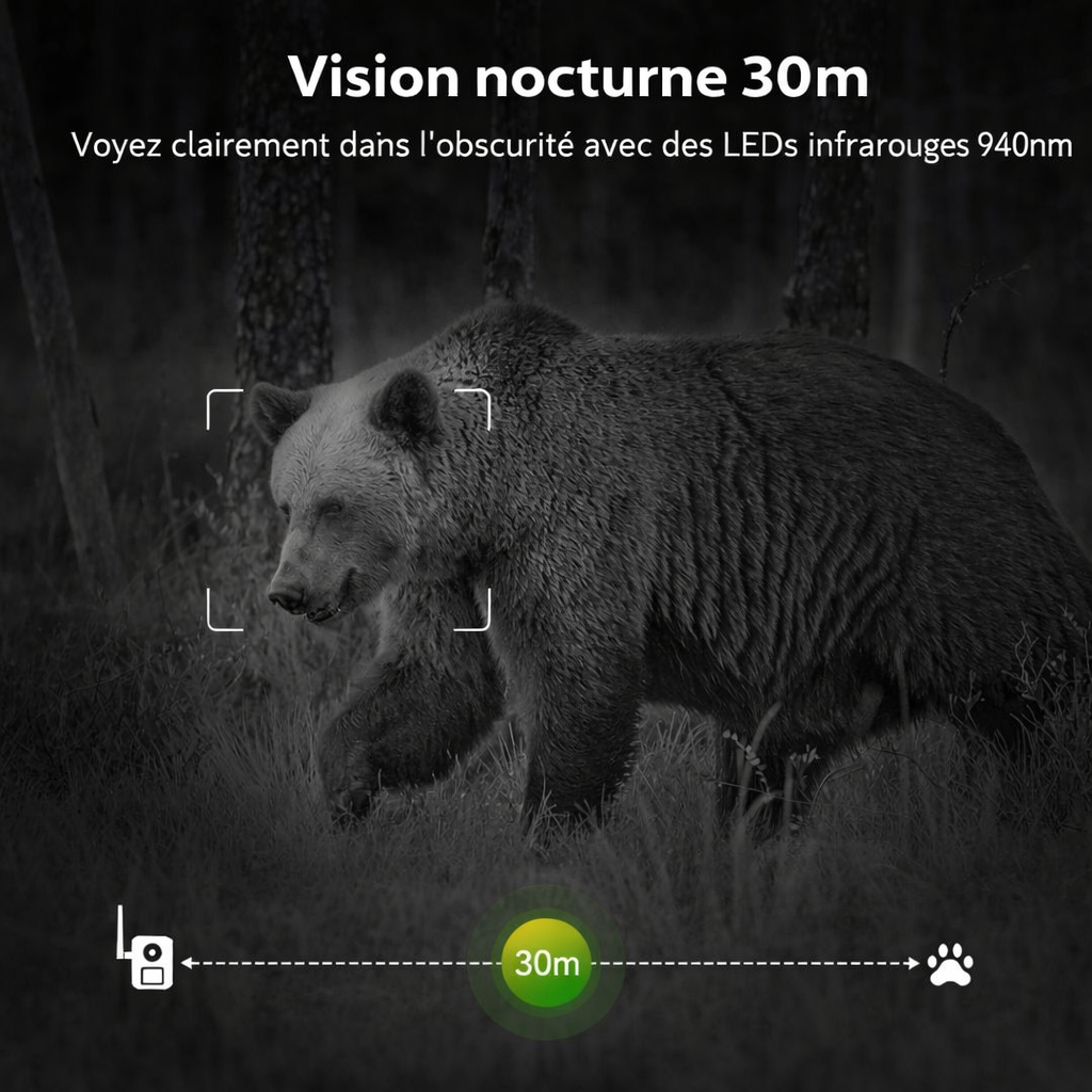 Caméra de Chasse Solaire 4G