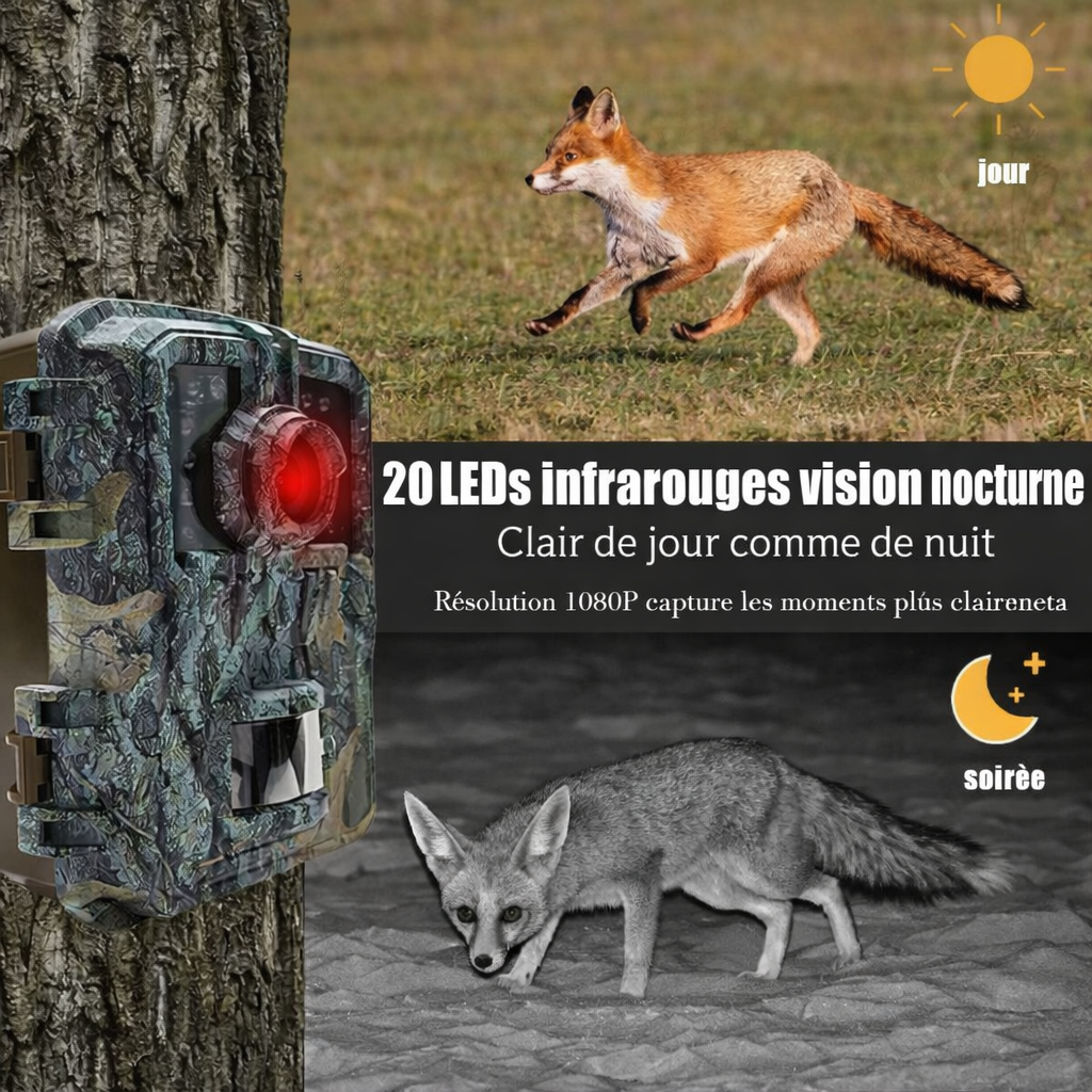 Caméra de Chasse Full HD Vision Nocturne