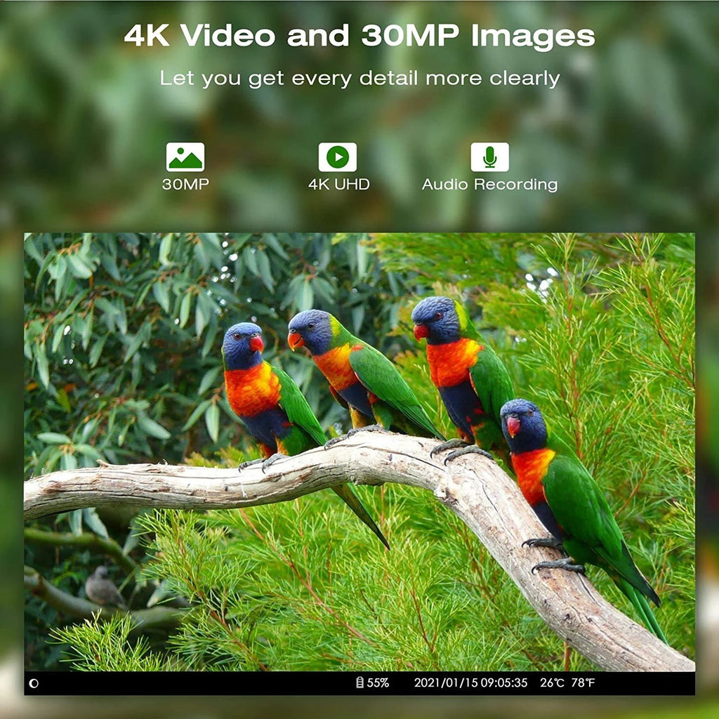 Caméra de Chasse 4G