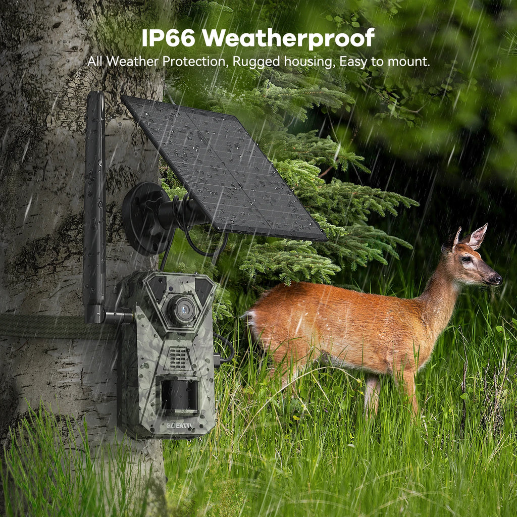 Caméra de Chasse Solaire 4G