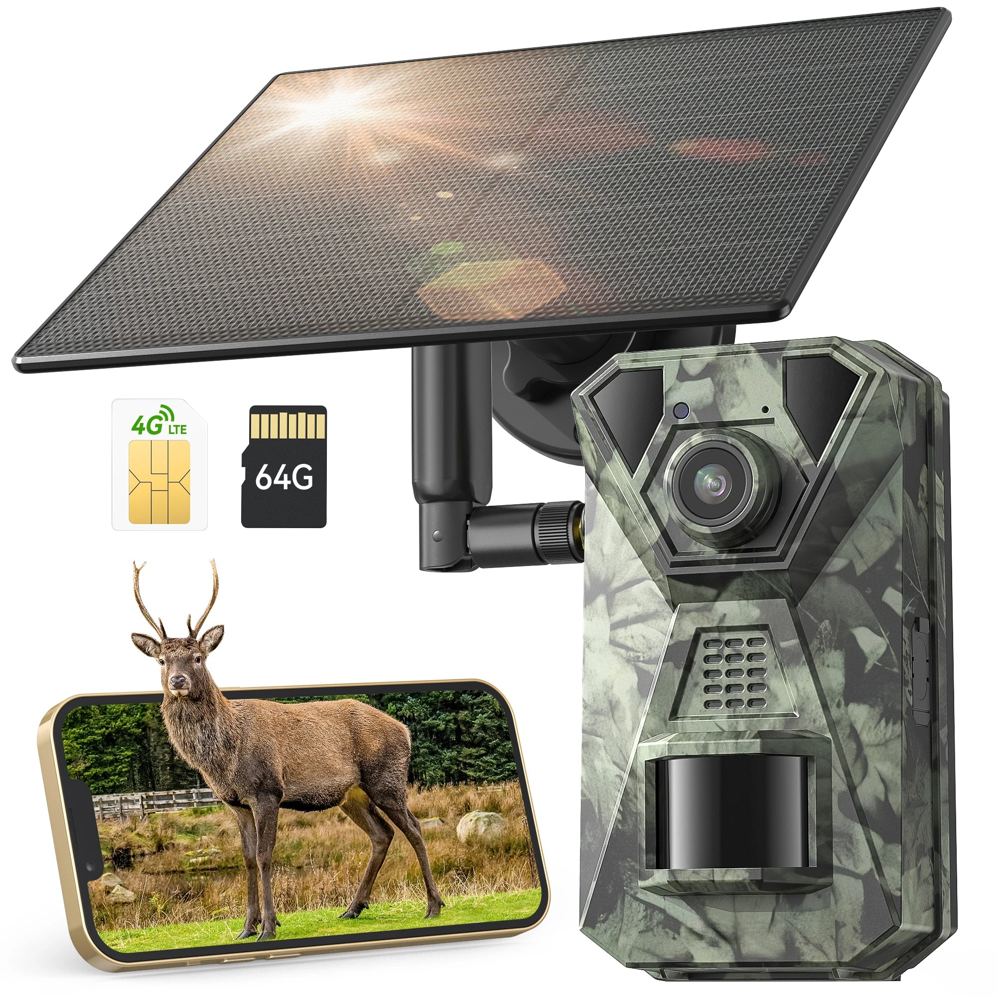 Caméra de Chasse Solaire 4G