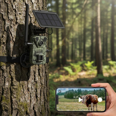 Caméra de Chasse Solaire 4G