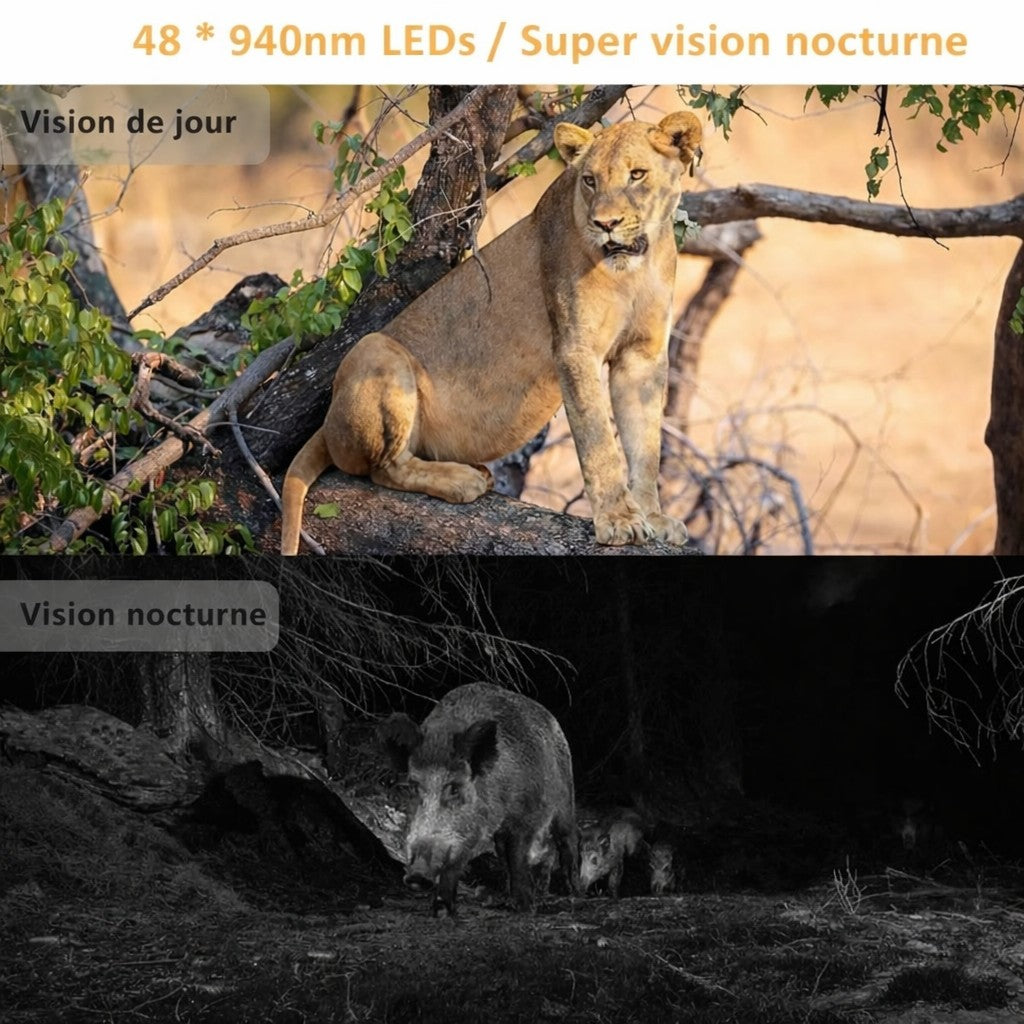 Caméra de Chasse 4G